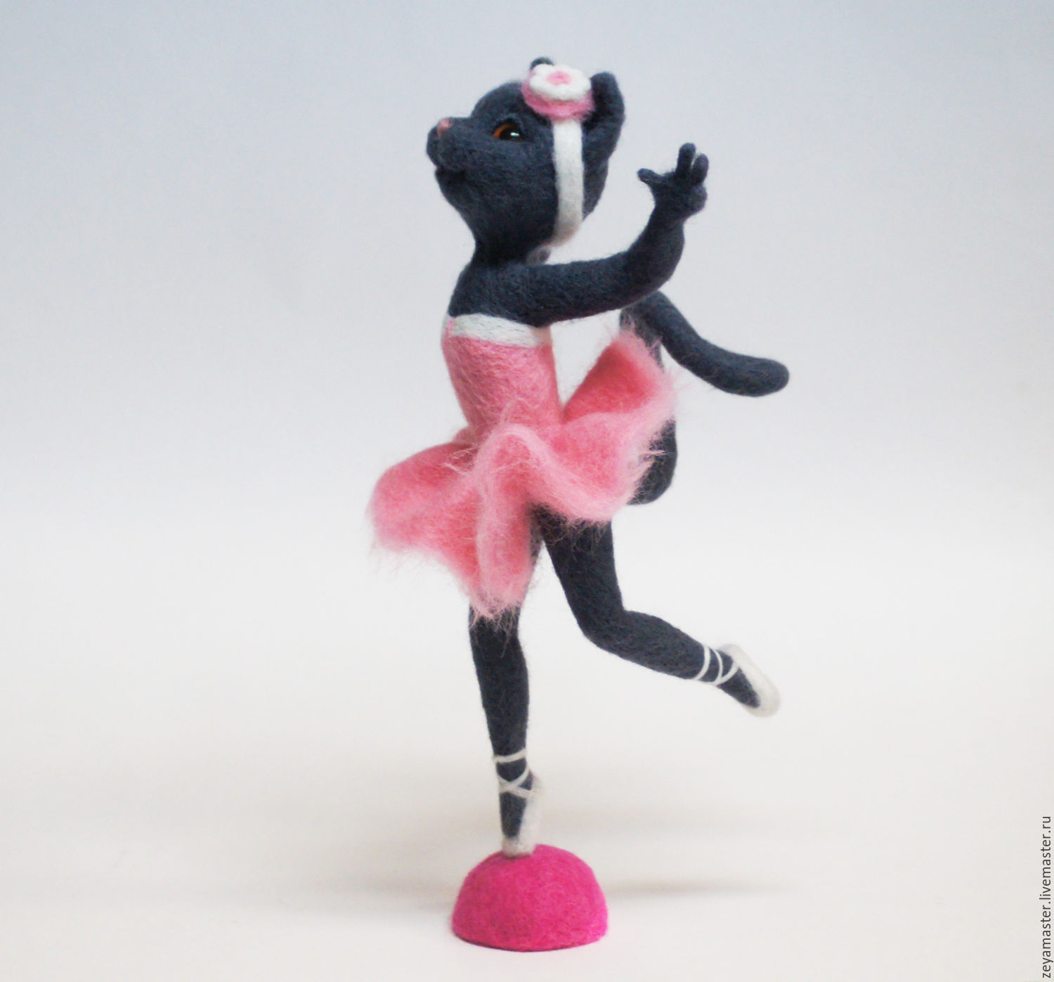 Cat ballerina