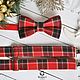 Christmas gift set consisting of a red tie with a butterfly pattern bomber in tartan and red suspenders in the same colour. The perfect gift for a Birthday or New year
