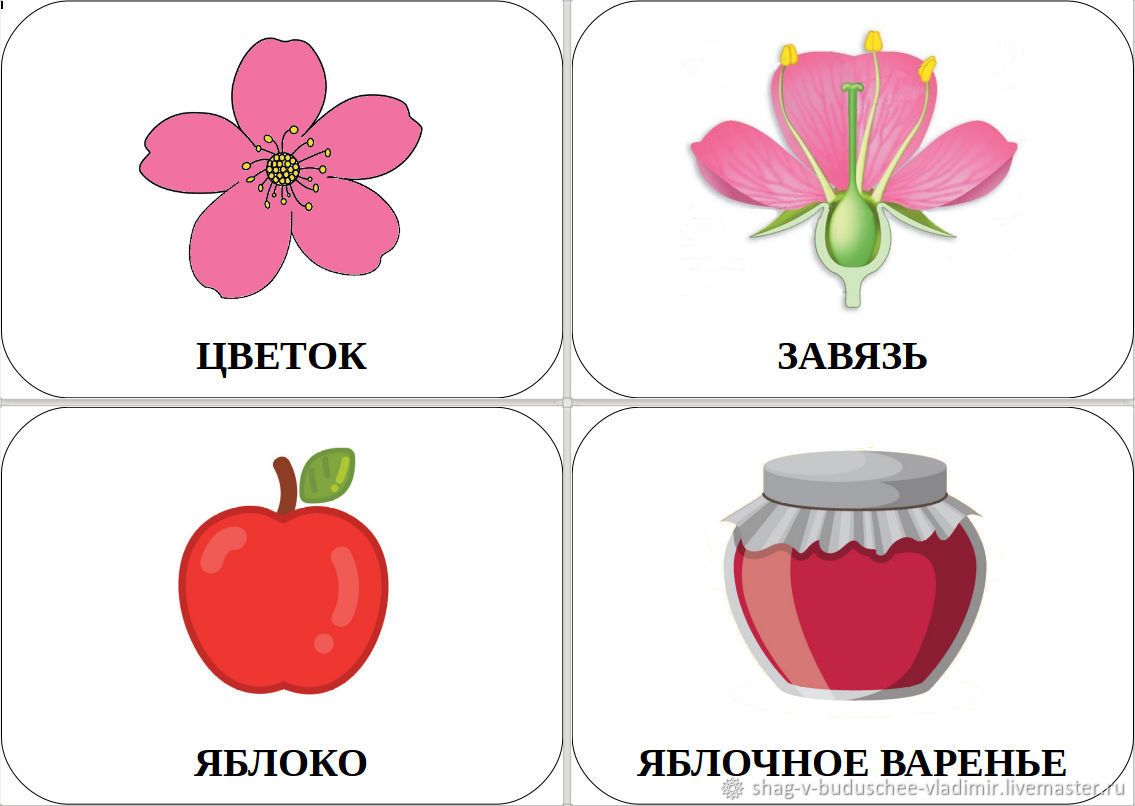 Набор карточек №8 для развивающих игр. Яблоко. История развития яблока в  интернет-магазине Ярмарка Мастеров по цене 100 ₽ – SV0UGRU | Игры, Ветлуга  - ...