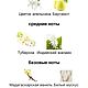 Заказать Духи ручной работы, реплика «Май вей»15 мл. Ольга и Людмила (honeybee-soapbar). Ярмарка Мастеров. . Духи Фото №3