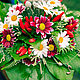 Заказать Композиция из живых цветов "Мелодия ромашек". Ольга (flowers-and-you). Ярмарка Мастеров. . Букеты Фото №3