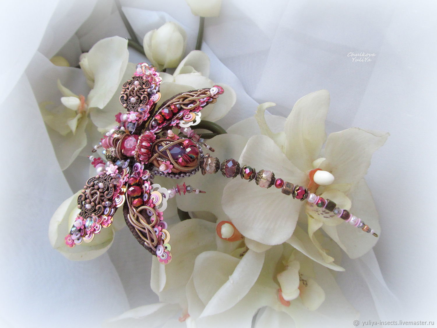 Жук макеч наряжают в стразы. Жук макеч брошка. Живые броши. Жук макеч брошка. Живая брошь жук.