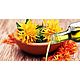 Safflower oil (Aroma zone Carthame) Carthamus tinctorius. Oil. For inventions. Online shopping on My Livemaster.  Фото №2