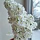 Сирень белая из холодного фарфора, цветок, полимерная глина, весна. Скульптуры. Любовь Федько. Flowers Love. Ярмарка Мастеров.  Фото №4