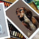  Dog Dachshund. Original. Pastel. Pictures. Valeria Akulova ART. My Livemaster. Фото №6