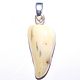 White amber Fang pendant, Pendant, Belokuriha,  Фото №1