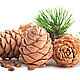  Pine cone with nuts. Art.20058, Christmas gifts, Tomsk,  Фото №1