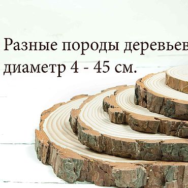 Все о побелке деревьев осенью : от выбора состава до инструмента