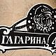 Копия товара Адресная табличка "Гагарин". Таблички для сада. ПлазАрт - декор из металла. Ярмарка Мастеров.  Фото №5