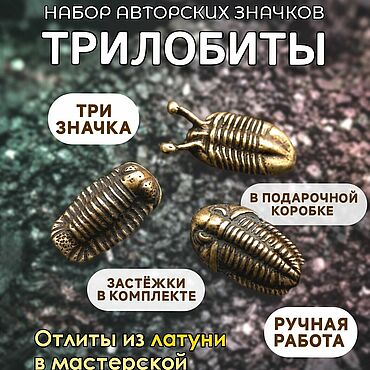 Украшения ручной работы. Ярмарка Мастеров - ручная работа Комплект брошей: Комплект значков Трилобиты Д-022. Handmade.