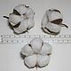 Cotton flowers bolls dried natural. Dried flowers for creativity. Cotton flowers bolls dried natural. My Livemaster. Фото №4