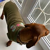 Зоотовары handmade. Livemaster - original item Dog Clothes Sweatshirt for Mini Dachshund Applique. Handmade.