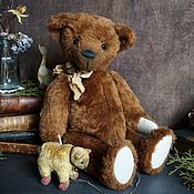 Teddy bear Robert