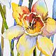 Watercolor Daffodils - spring Gift painting flowers. Pictures. Multicolor Gallery. My Livemaster. Фото №4