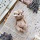 Заказать Тедди мишка. my.teddy_bear. Ярмарка Мастеров. . Мишки Тедди Фото №3