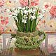 Snowdrops in wicker planters-Cup, Composition, Moscow,  Фото №1