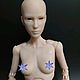 Кукла bjd Алисия 30см. 3Dпечать. Интерьерная кукла. Людмила Макарова. Ярмарка Мастеров.  Фото №4