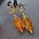 Earrings with  amber, Earrings, St. Petersburg,  Фото №1