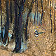 Painting Autumn landscape in mixed technique Graphics (postponed). Pictures. Pictures for the soul (RozaSavinova). Online shopping on My Livemaster.  Фото №2