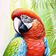  Картина Попугаи в тропиках, на холсте 70 х 50 см. Картины. MariaDavi Art. Ярмарка Мастеров.  Фото №4