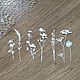 !Cutting for scrapbooking-SET of WILD GRASS 2, diz cardboard, Scrapbooking cuttings, Mytishchi,  Фото №1
