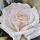 Белая роза, Картины, Зеленоград,  Фото №1