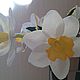 Daffodils Tamarana, Bouquets, Abinsk,  Фото №1