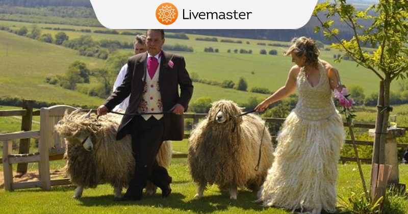 Sheep in Wedding Dress