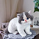 Мягкая игрушка котенок экзот Мотя. Экзотическая короткошерстная кошка. Мягкие игрушки. Игрушки ручной работы| Юлия Дынер. Интернет-магазин Ярмарка Мастеров.  Фото №2