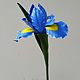 Ирисы. Букеты. Oxiflowers. Интернет-магазин Ярмарка Мастеров.  Фото №2