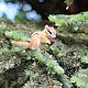 felted Chipmunk'rich'. Felted Toy. Anna Petinati- Live toys handmade. My Livemaster. Фото №4
