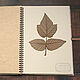 Order Herbarium album on a spring Shebbi (13 light sheets). Anna (albums for herbarium & photo). Livemaster. . Photo albums Фото №3