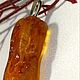 Amber is Alive. pendant: 6 cm, Pendant, Kaliningrad,  Фото №1