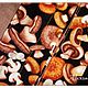 Мешочек для сухих грибов "Осень-2". Кармашки. Красивый дом (Александра). Интернет-магазин Ярмарка Мастеров.  Фото №2