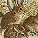Embroidery 'Bunnies', handmade, Holland. Vintage paintings. Dutch West - Indian Company. Online shopping on My Livemaster.  Фото №2