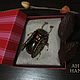 Брошь "Жук-плавунец" с тигровым глазом. Брошь-булавка. Украшения и аксессуары (Анна SAP). Интернет-магазин Ярмарка Мастеров.  Фото №2