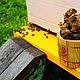 Прополис пчелиный / 250г. / + Подарки. Мед. AltaiKo. Интернет-магазин Ярмарка Мастеров.  Фото №2