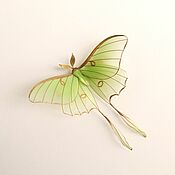 Украшения handmade. Livemaster - original item Moon moth big green butterfly crocodile gold hairpin. Handmade.