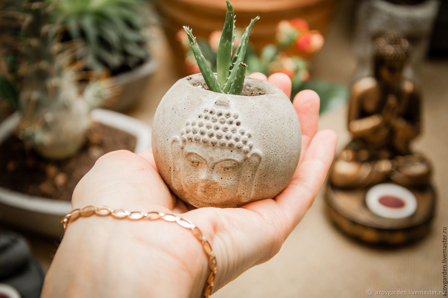 Мини кашпо из бетона для суккулентов и кактусов Будда – заказать на ...