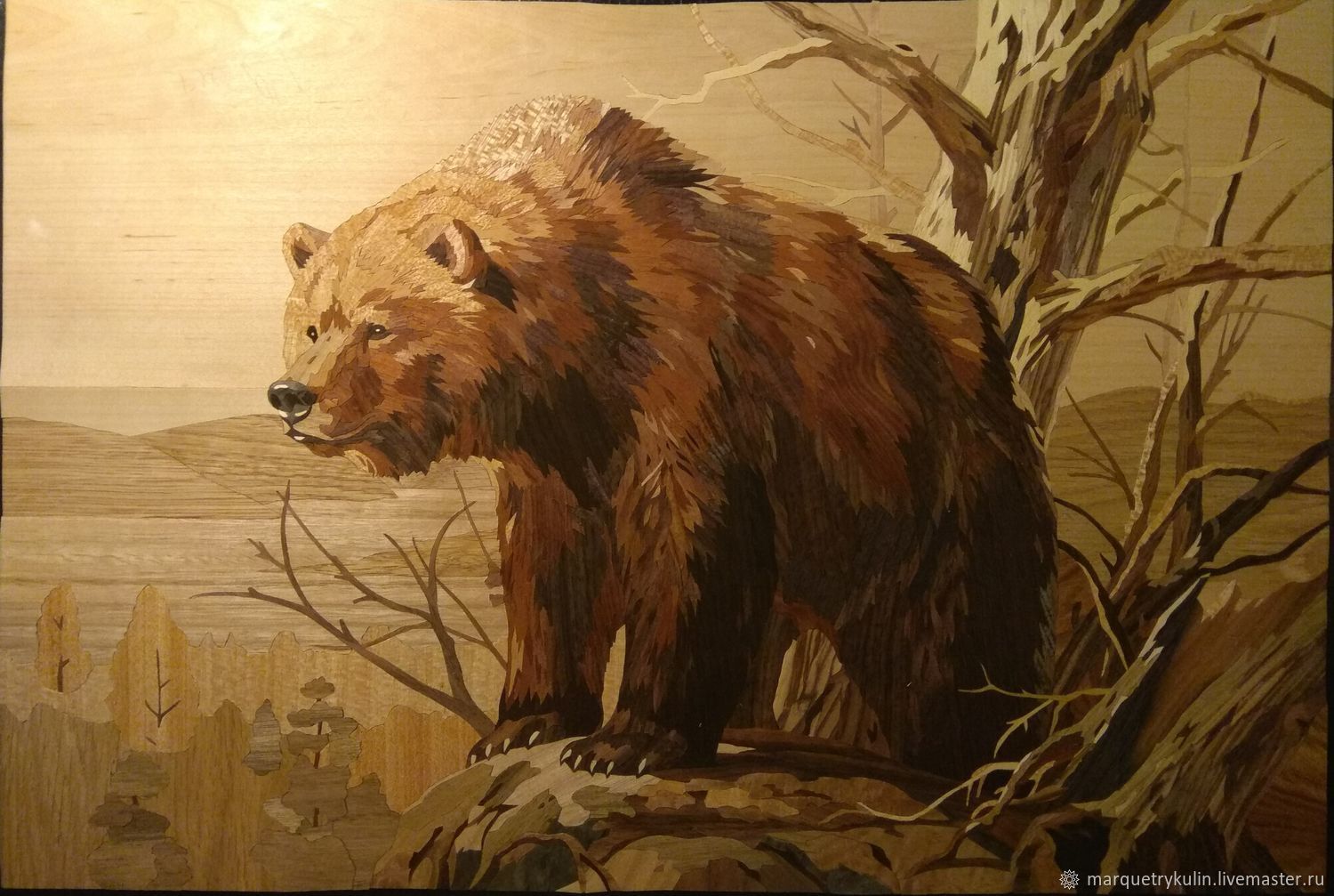 Маркетри медведь