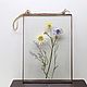 the herbarium in the glass. Herbarium of flowers in a frame. Chamomile and cornflowers. Suspension. Glass Flowers. My Livemaster. Фото №6