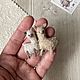 Мини Лама 2,5 см, Амигуруми куклы и игрушки, Тюмень,  Фото №1