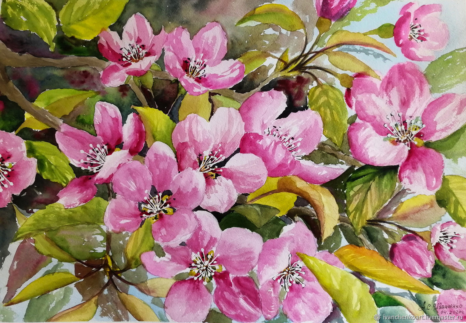 Акварель Цветущая яблоня. Розовые цветы. Весна. Природа купить в  интернет-магазине Ярмарка Мастеров по цене 4900 ₽ – LEJ44RU | Картины,  Королев - доставка по России
