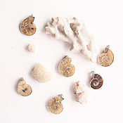 Украшения handmade. Livemaster - original item Pendant with natural Ammonite, pendant with natural stone in the frame. Handmade.