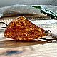 Amber. Pendant 'Many, many highlights' amber silver, Pendants, Moscow,  Фото №1