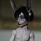 Заяц Чарльз. Авторская шарнирная кукла серии "Renny" БЖД (BJD). Шарнирная кукла. Anikori. Интернет-магазин Ярмарка Мастеров.  Фото №2