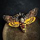 Brooch-pin: The moth 'Acherontia atropos' or ' deadhead». Brooches. Secret Jar. Online shopping on My Livemaster.  Фото №2