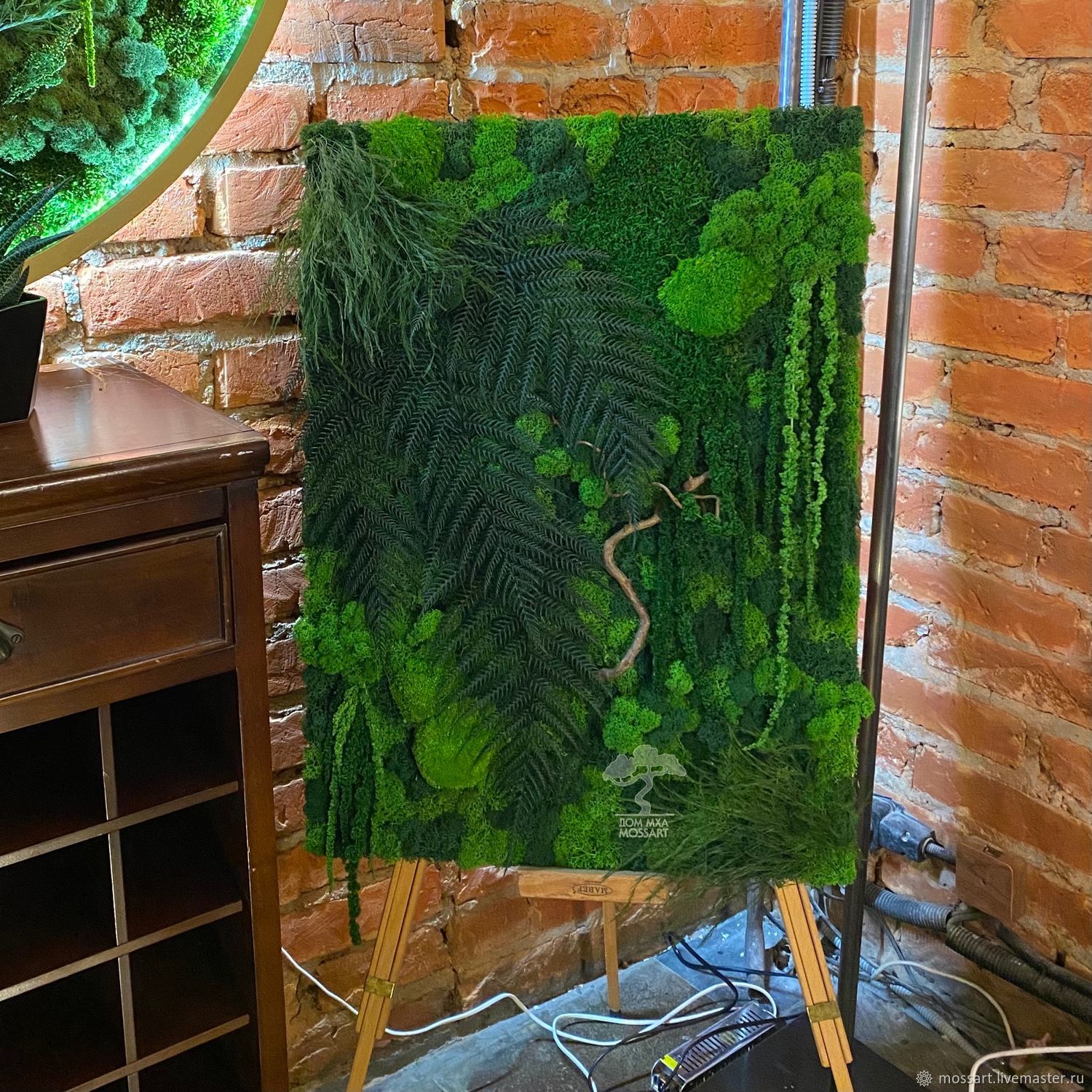 Фитопанно "Jungle Dark" из стабилизированного мха и растений – купить ...