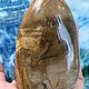 Petrified wood 588 g. Minerals. anna-fedirko. Online shopping on My Livemaster.  Фото №2