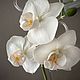 Белая орхидея из холодного фарфора. Композиции. YULIYA. Ярмарка Мастеров.  Фото №6